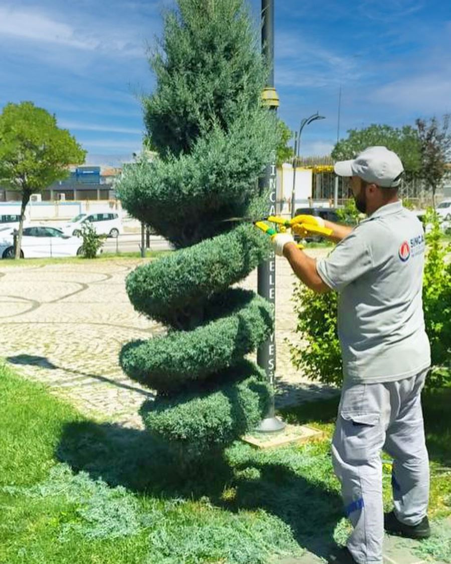 SİNCAN’DA GÖRSEL ŞÖLEN 