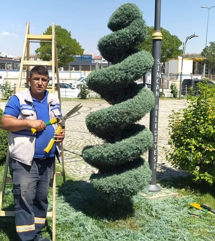 SİNCAN’DA AĞAÇLAR ADETA BİRER SANAT ESERİ