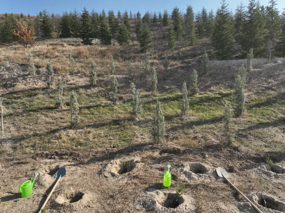 Mamak’ta Fidanlar Geleceğe Nefes Olacak