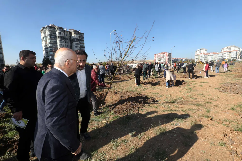 Cumhuriyet Mahallesi’nde ağaçlar toprakla buluştu
