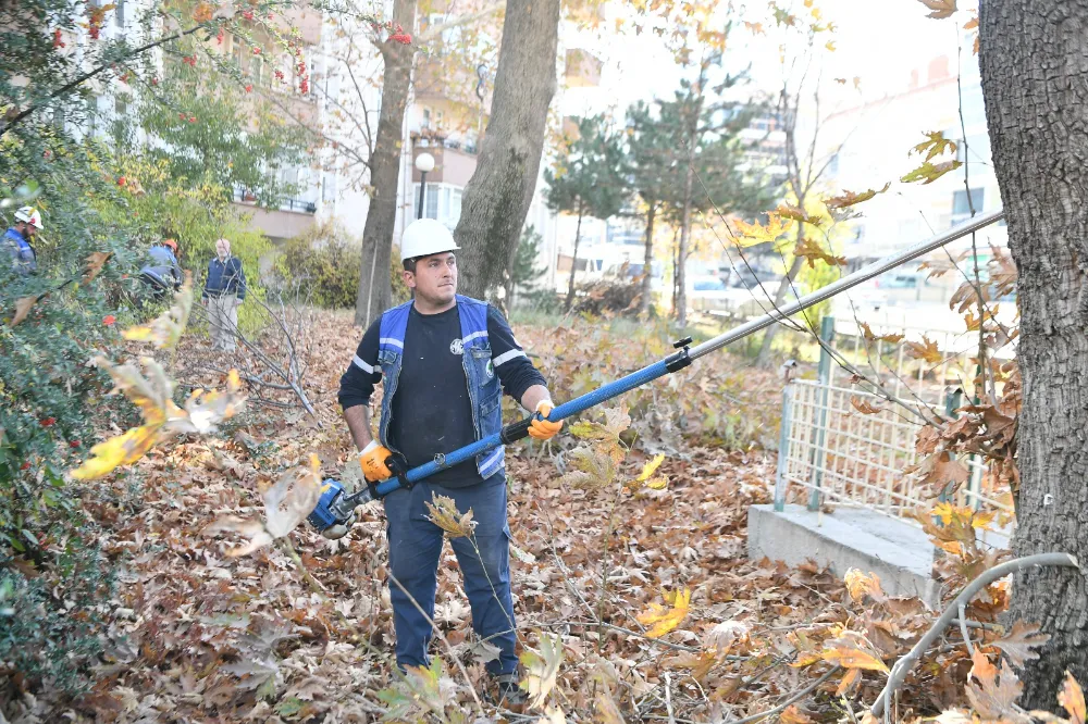 Mamak’ta Sonbahar Budama Çalışmaları Sürüyor