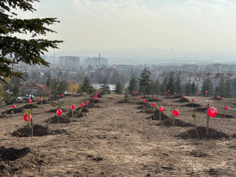 SİNCAN’DA KADINA YÖNELİK ŞİDDETLE MÜCADELE GÜNÜNDE ANLAMLI ETKİNLİKLER