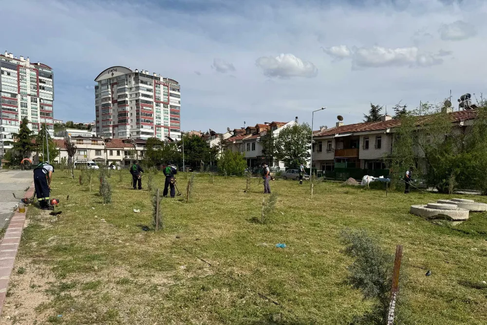 Yenimahalle’de bahar temizliği