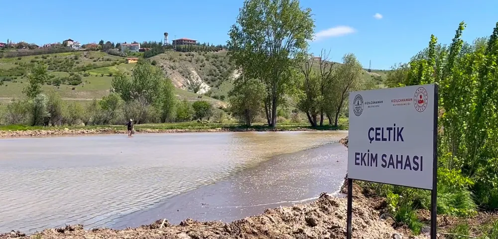 Kızılcahamam’da 40 Yıllık Sessizlik Bozuldu: “Çeltikçi Pirinci” Yeniden Toprakla Buluştu