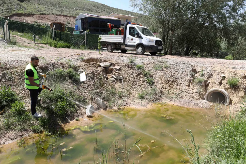 Yenimahalle’de larva mücadelesi başladı